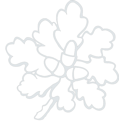 Odenwaldklub OG Darmstadt e.V.